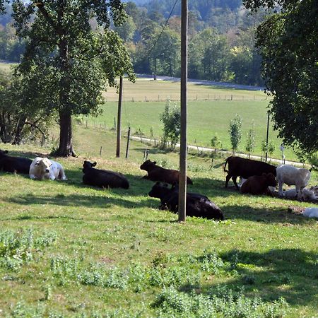 Mostheuriger Steyrdurchbruchalm Leonstein Exterior foto