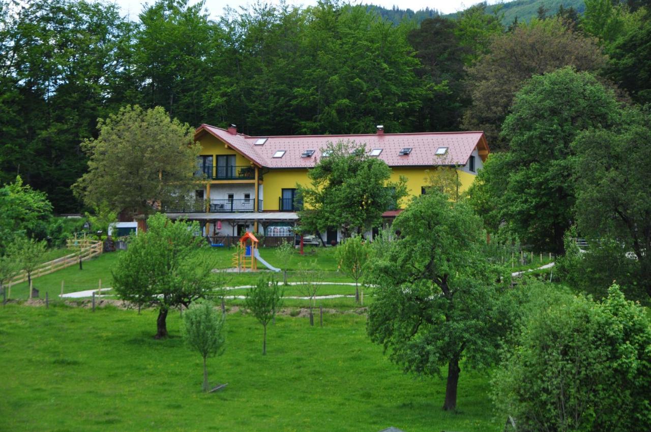 Mostheuriger Steyrdurchbruchalm Leonstein Exterior foto